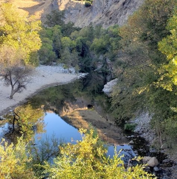 Meet your Posher, Marcelo - Picture 1 of 1